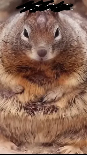 ai character: Friends- chase (A) background