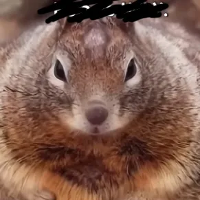 chat with ai character: Friends- chase (A)