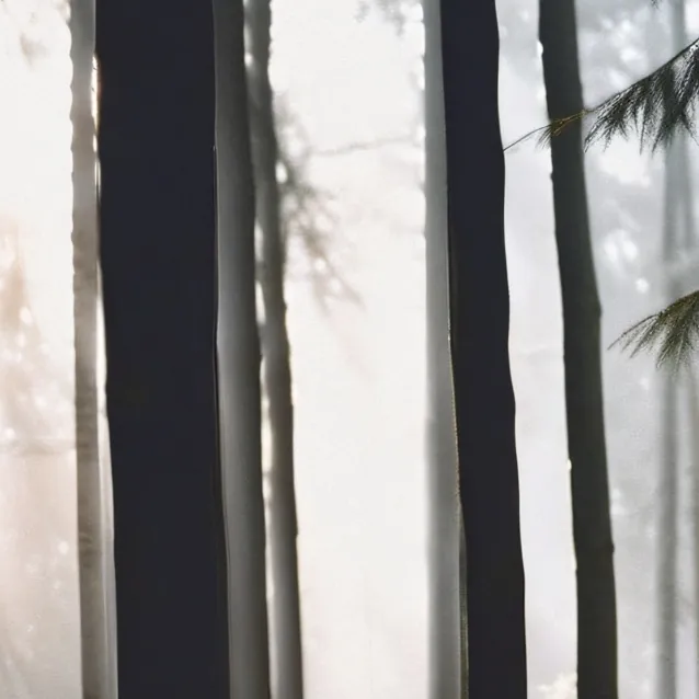 chat with ai character: The woods