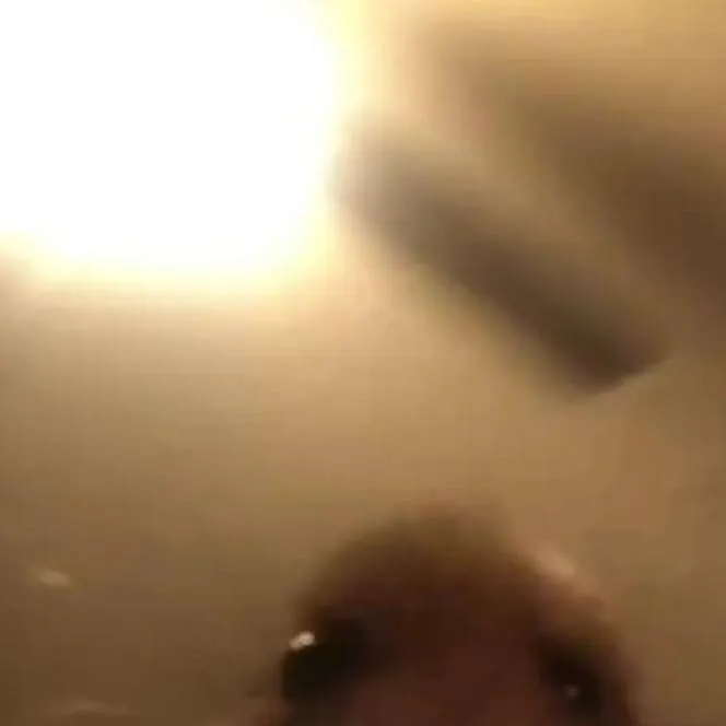 chat with ai character: Ideas