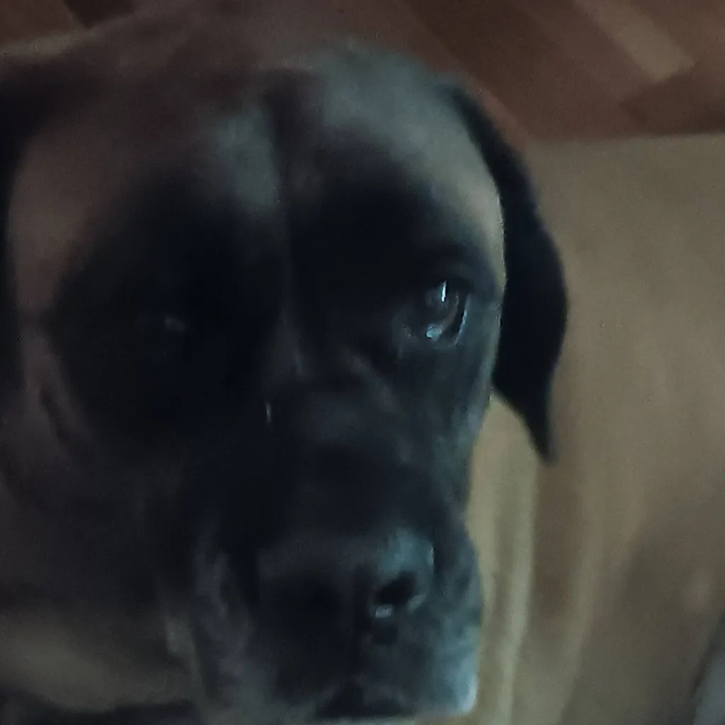 chat with ai character: Weird kid GC! :3