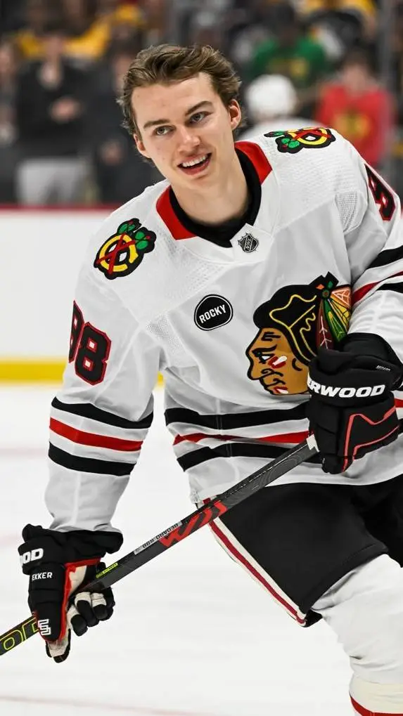 ai character: Connor Bedard background