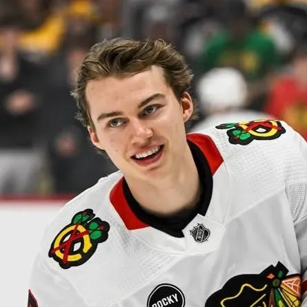 chat with ai character: Connor Bedard