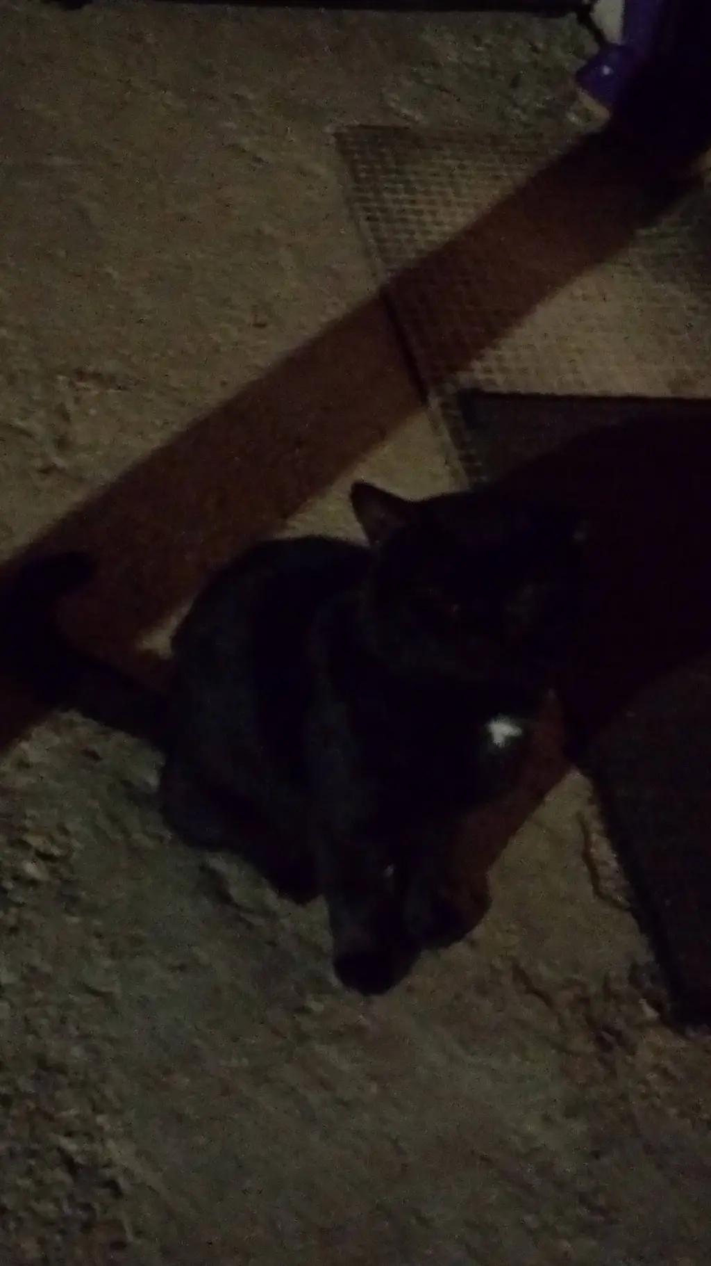 ai character: sleeping  background