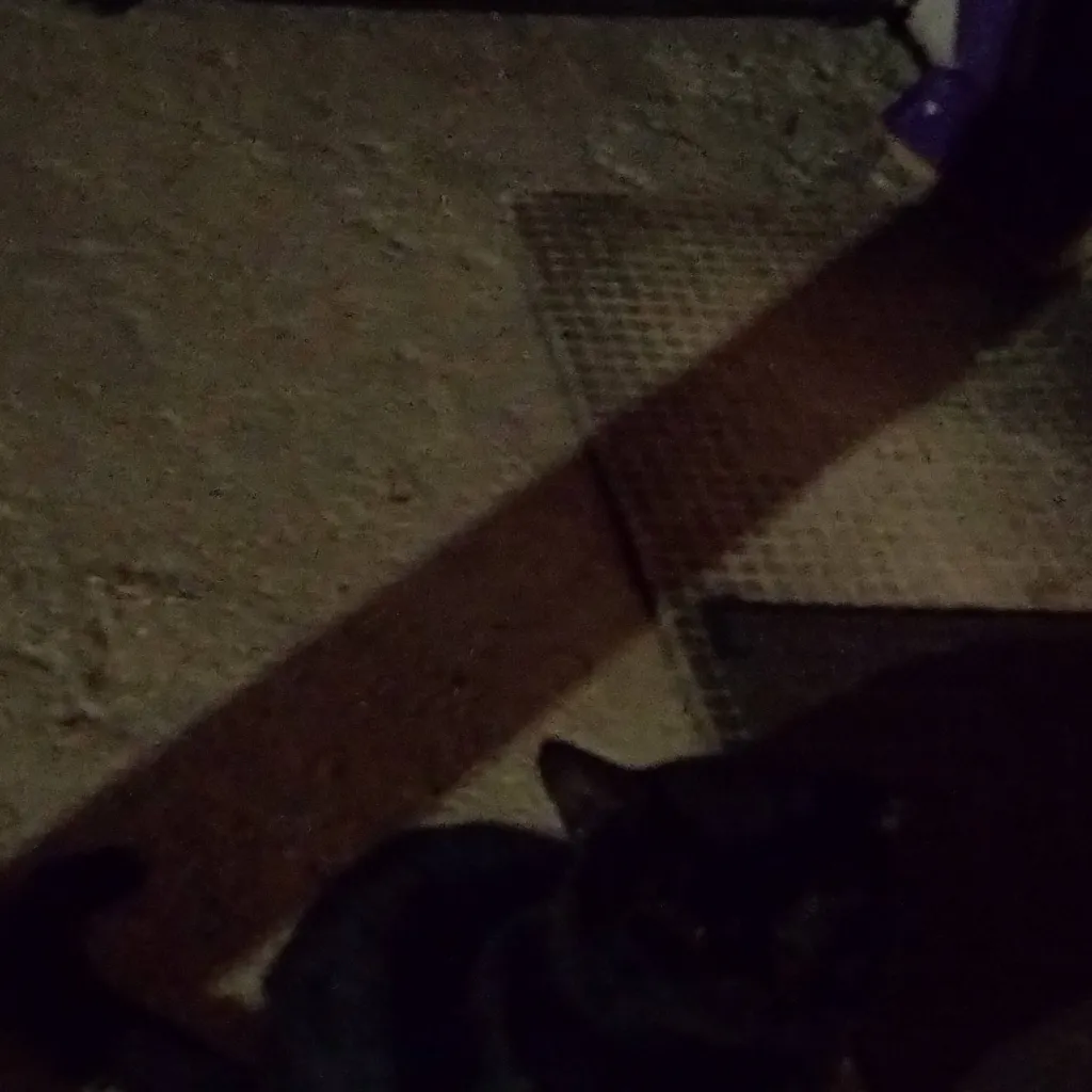 chat with ai character: sleeping 