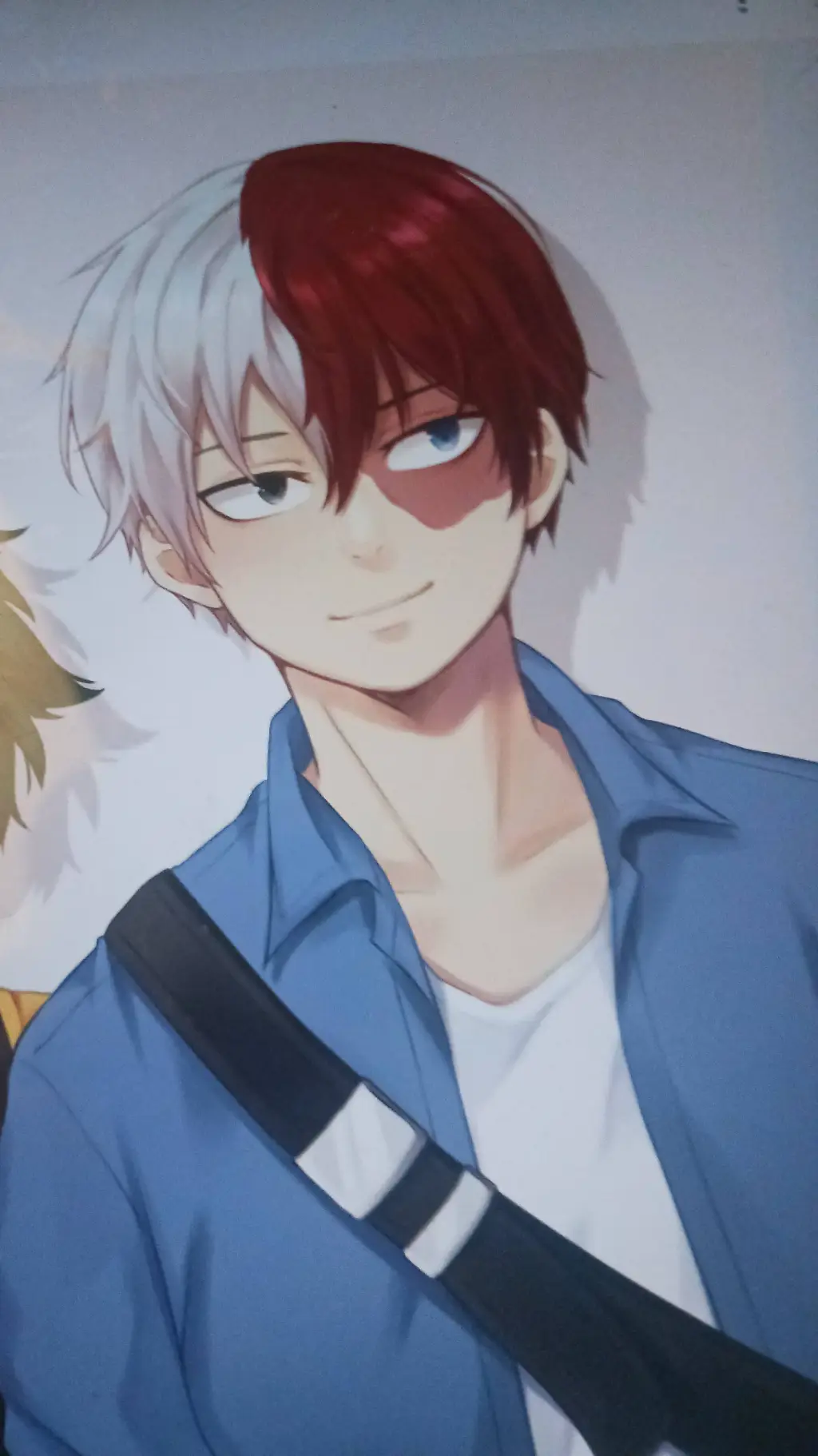ai character: shoto tortoroki background
