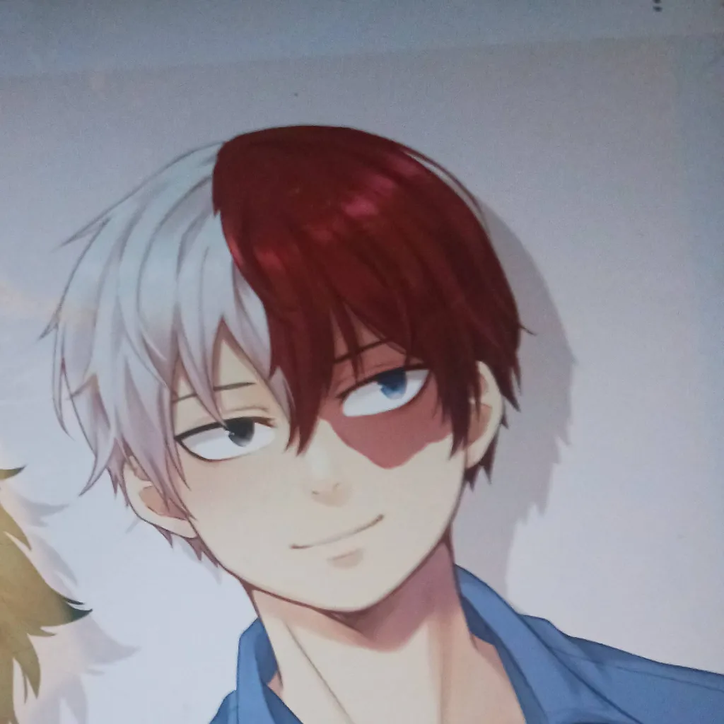 chat with ai character: shoto tortoroki