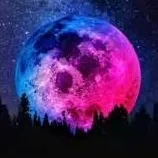 chat with ai character: Stargazing