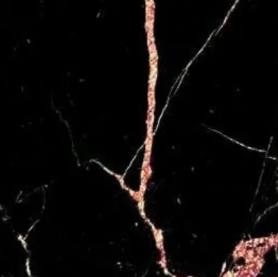 chat with ai character: Freak show  