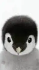 ai character: pengue background