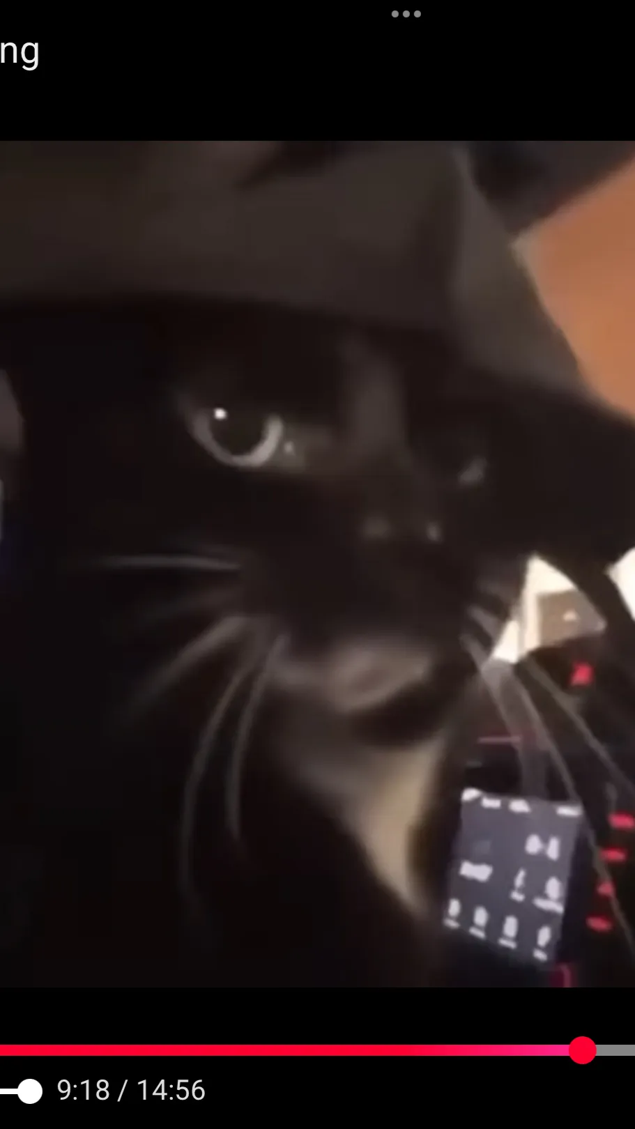 ai character: Human x creature background