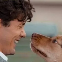 chat with ai character: A dogs way home 