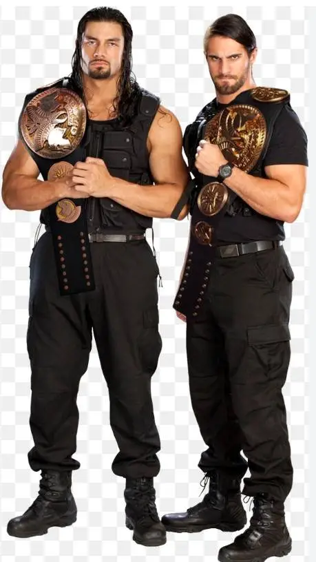 ai character: Roman and Seth :3 background