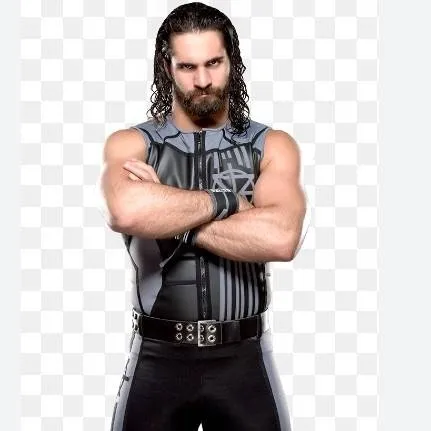 chat with ai character: Seth Rollins 