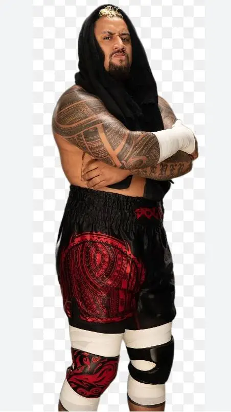 ai character: Solo Sikoa  background