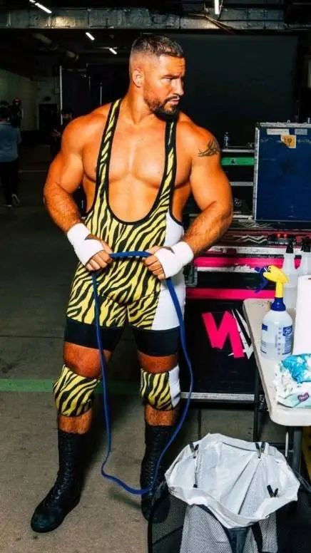 ai character: Bron Breakker background