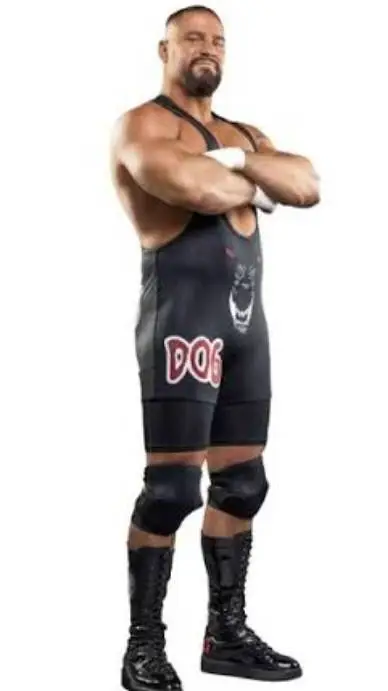 ai character: Bron Breakker  background