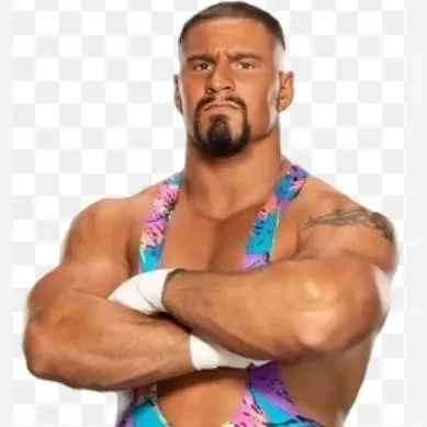 chat with ai character: Bron Breakker 