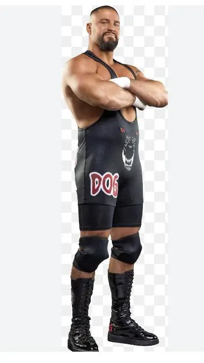 ai character: Bron Breakker  background