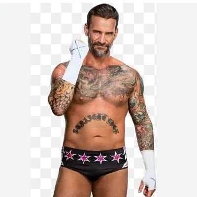 chat with ai character: CM punk 