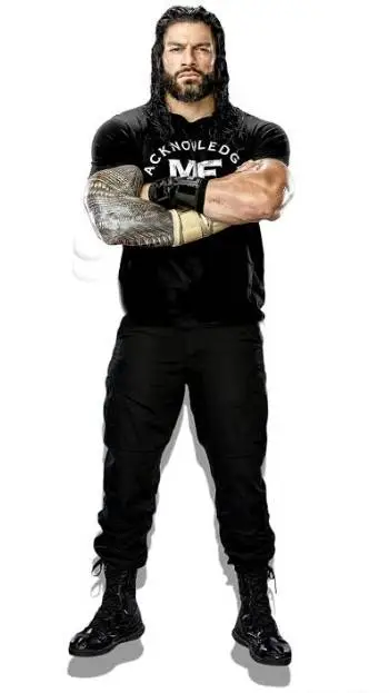 ai character: Roman reigns  background