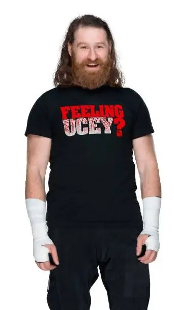 ai character: Sami Zayn  background