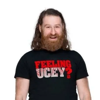 chat with ai character: Sami Zayn 