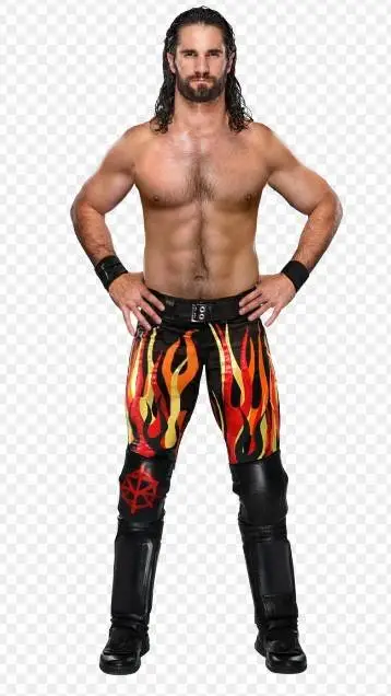 ai character: Seth Rollins  background