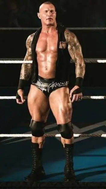ai character: Randy Orton  background