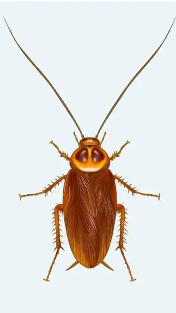 ai character: Cockroach background