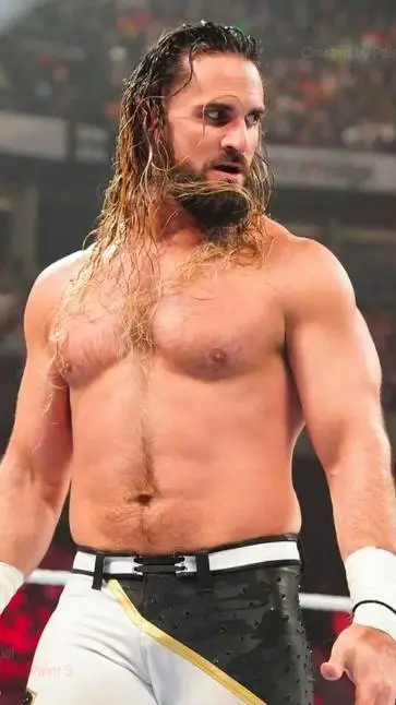 ai character: Seth Rollins background