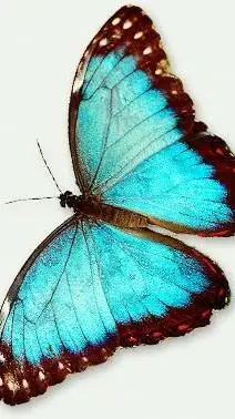 ai character: butterfly  background