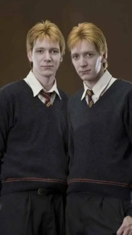 ai character: The Weasleys  background