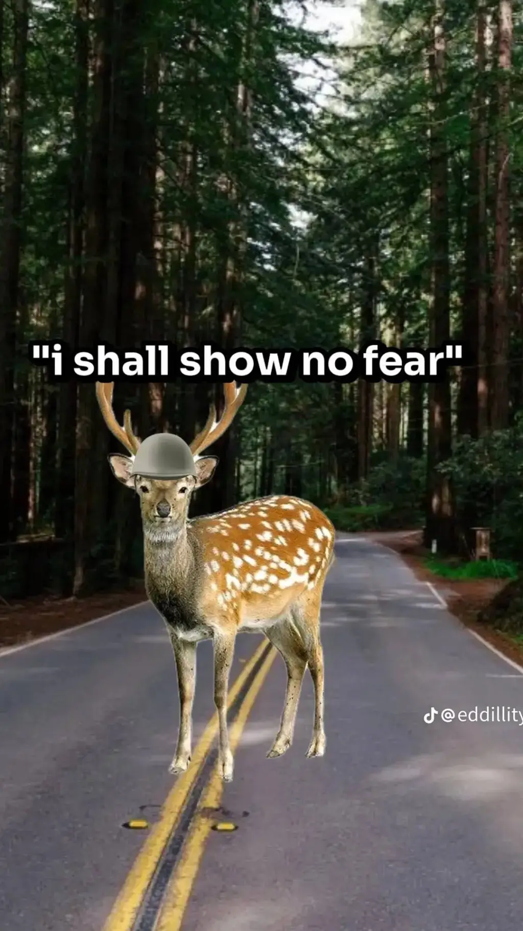 ai character: deer background