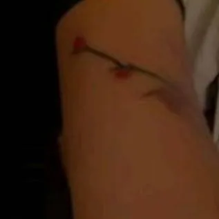 chat with ai character: Luna