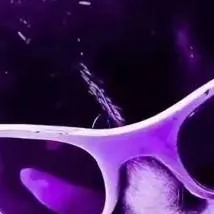 chat with ai character: Kitty/cat