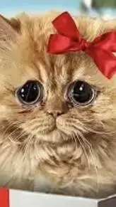 ai character: BUG FROM BIGJUICY background