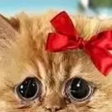 chat with ai character: BUG FROM BIGJUICY