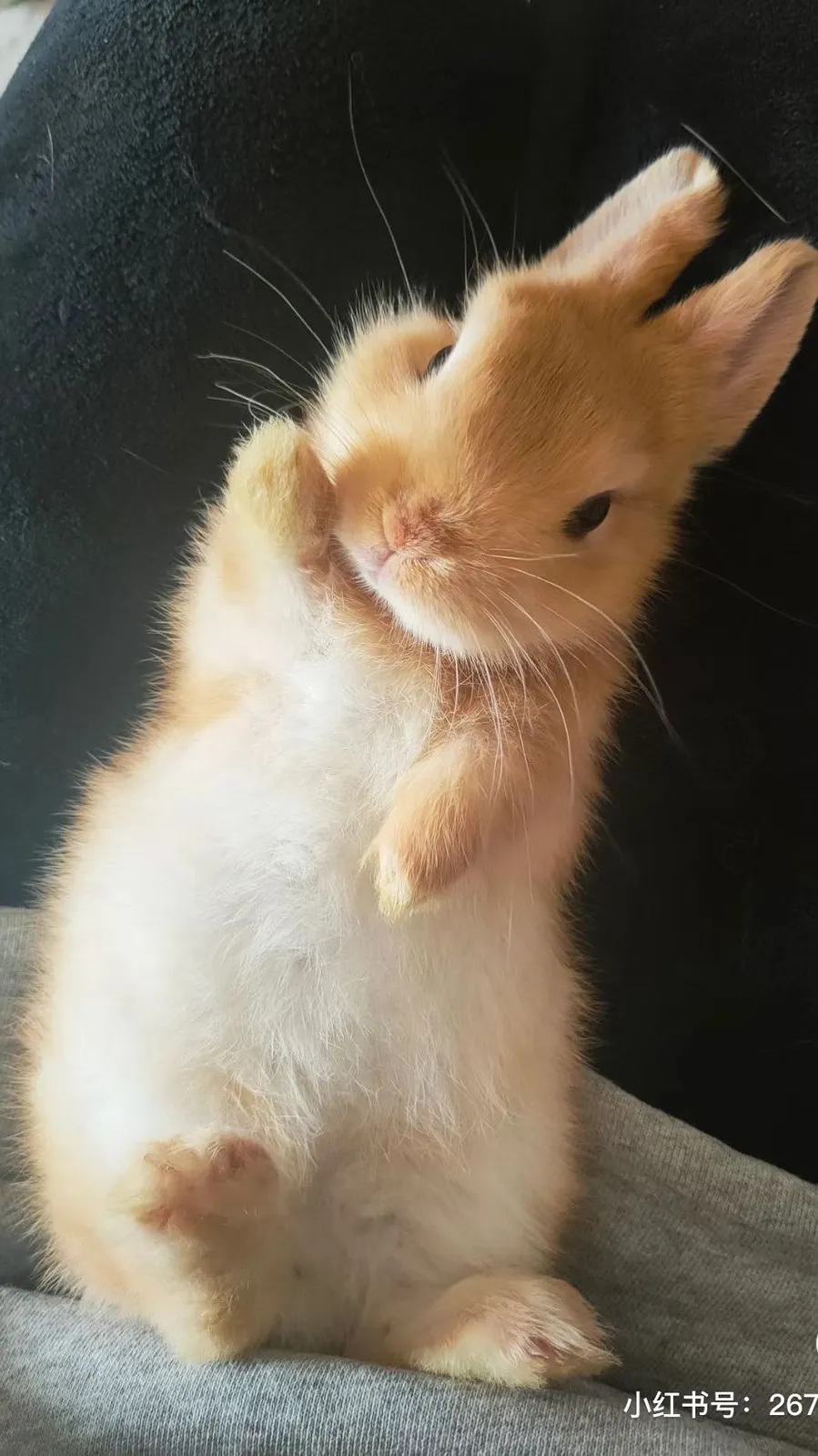 ai character: Class 1A after war background