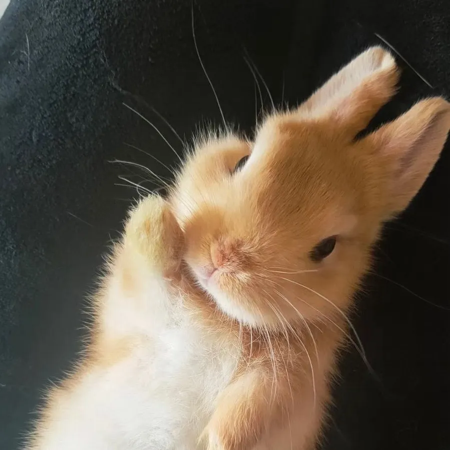 chat with ai character: Class 1A after war