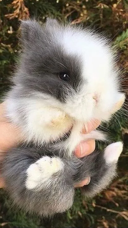 ai character: MHA-concert background