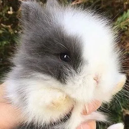 chat with ai character: MHA-concert