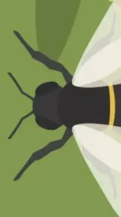 ai character: bee background