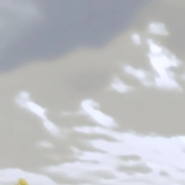 chat with ai character: school shooting