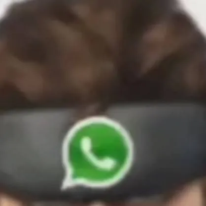 chat with ai character: whatsapp snake