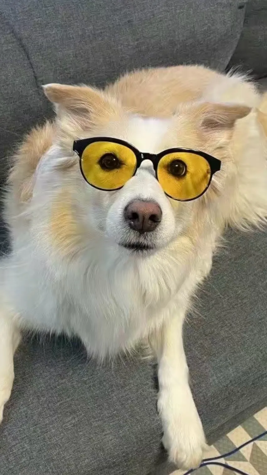 ai character: Jake’s dog background