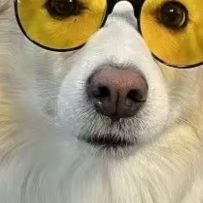 chat with ai character: Jake’s dog