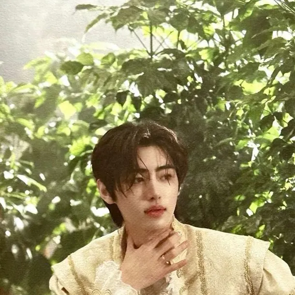 chat with ai character: Sunghoon