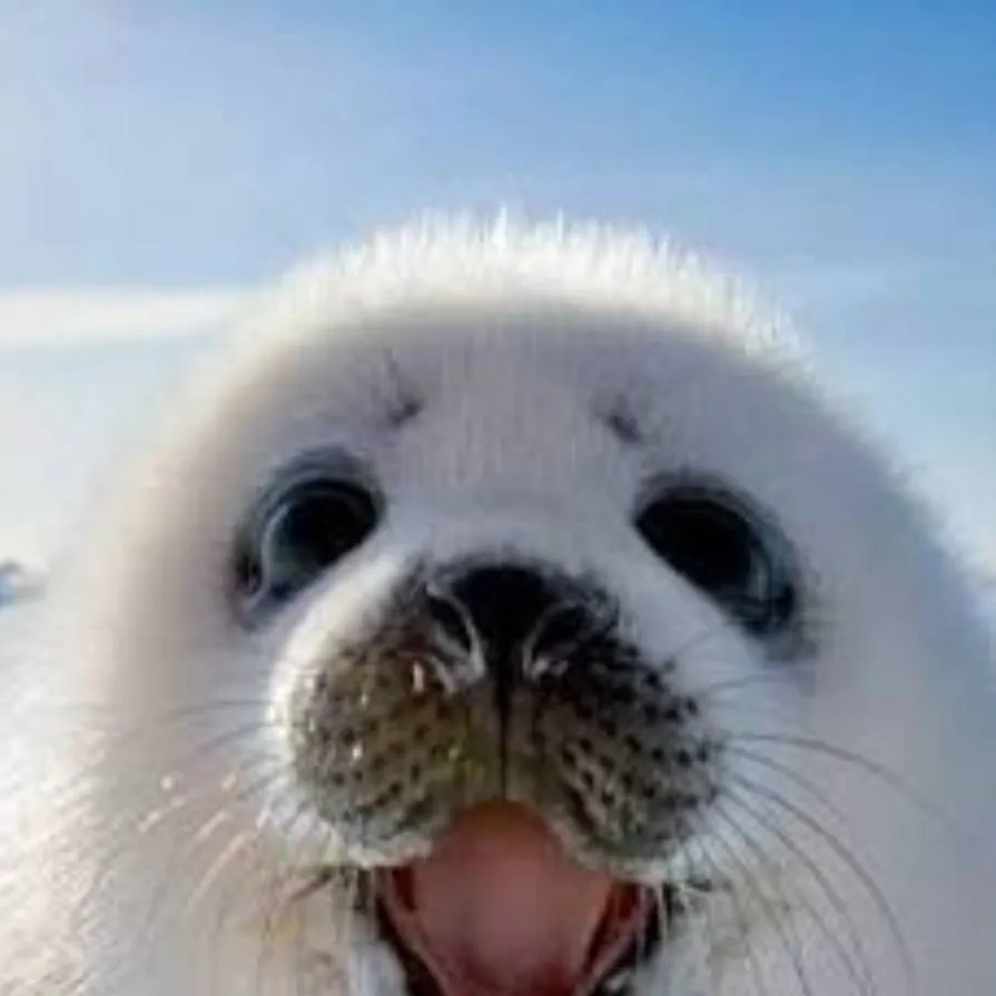 chat with ai character: Your choice