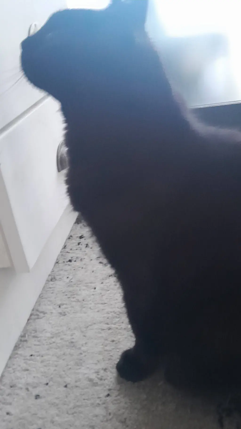 ai character: Feel the beat background